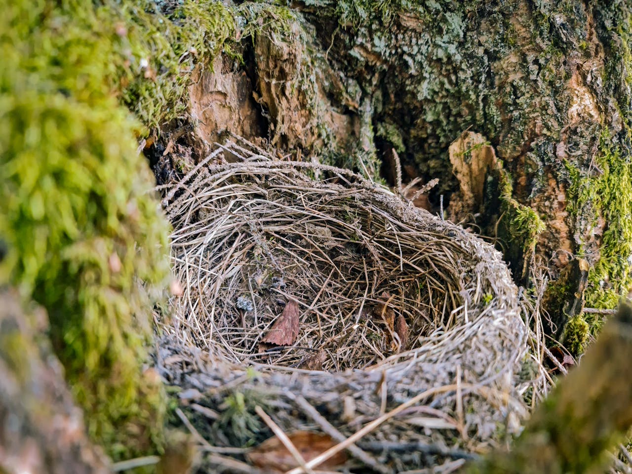 Coping with Empty Nest Syndrome: Navigating Life After Your Children Move Out