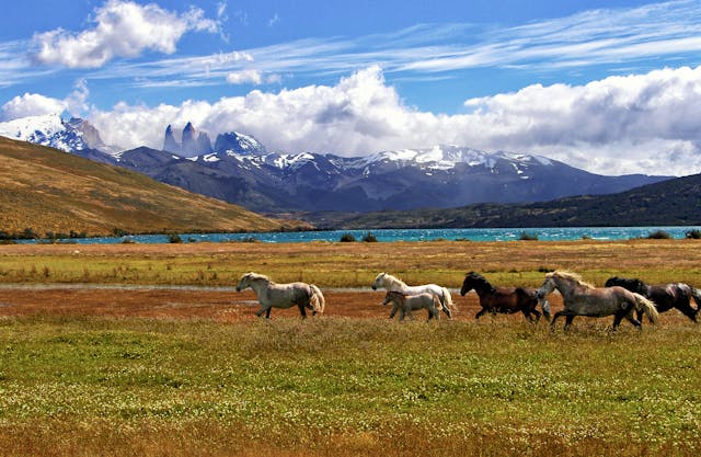 Off-the-Beaten-Path Travel Destinations for Adventure Seekers