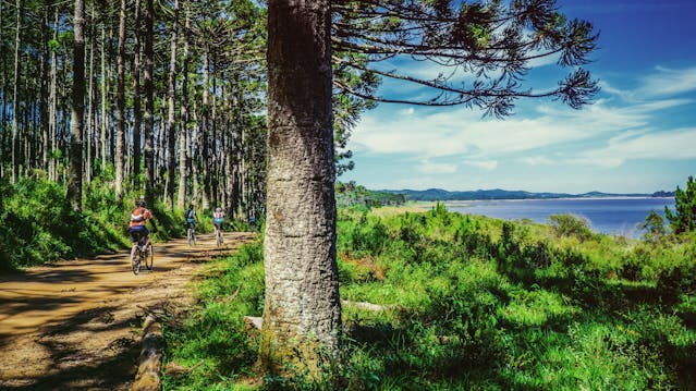 Cycling and Bike Touring: Exploring Scenic Routes by Bike