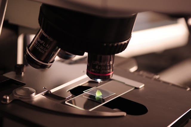 The Need for Ethical Frameworks in Science