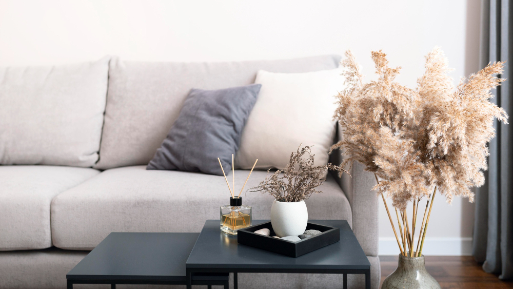Find Discounts and Secondhand Treasures