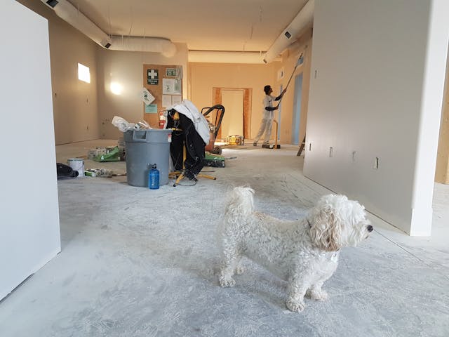Tips for Home Renovation: Creating Your Dream Home - image 2
