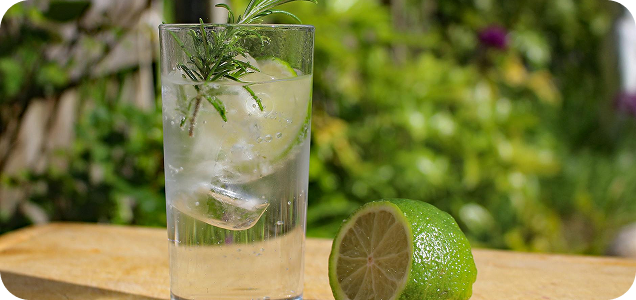 Gin Well Drinks for Refreshing Sips