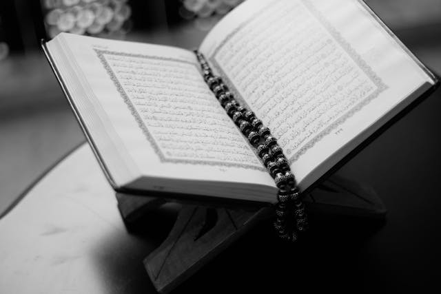 The Importance of Gratitude and Contentment