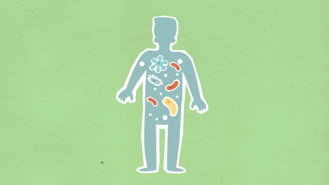 How to Keep Your Gut Healthy