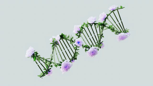 What Is Genetics?