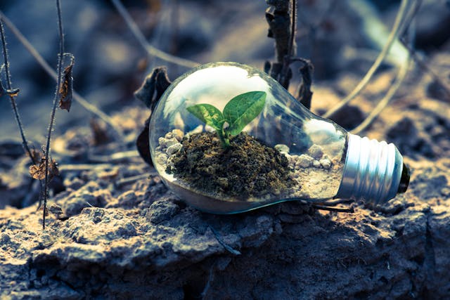 Biomass: Energy from Organic Materials