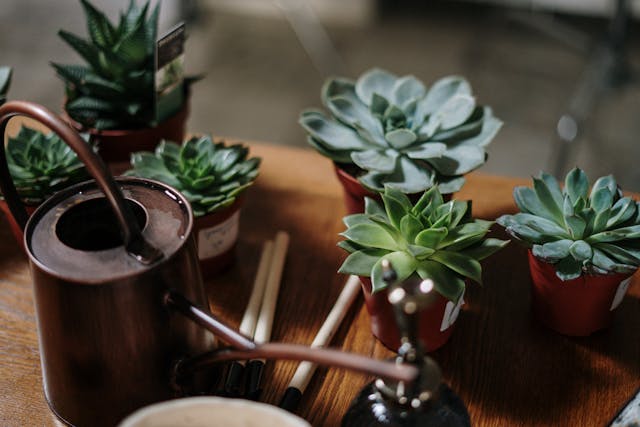 Painted Flower Pots