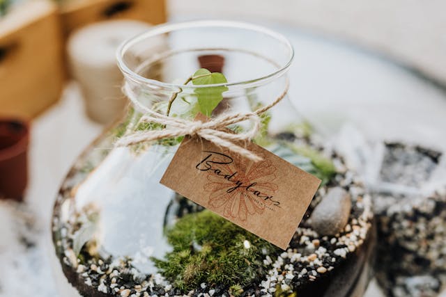 Painted Mason Jars