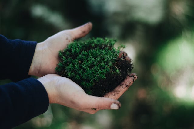How We Can Protect Ecosystems