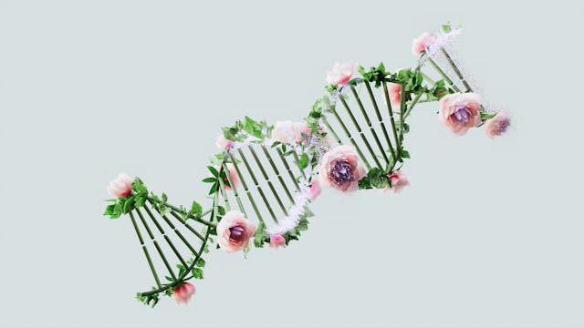 What Is CRISPR?