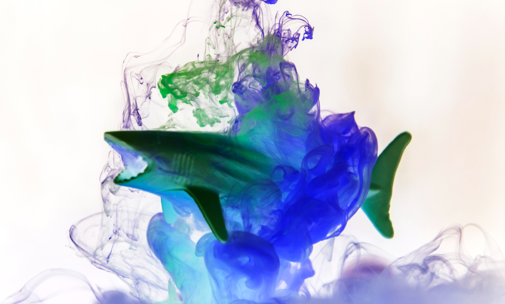 What Is Digital Art?