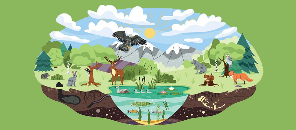 What Is Biodiversity?