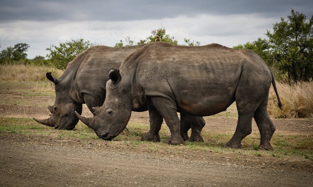 Protecting Habitats